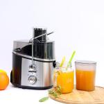 Geepas GJE6106 Juice Extractor 600W - Juicer Machine with Wide Mouth for Whole Fruits Vegetables | 2 Speed with Pulse, Stainless Steel Body | 600ML | 2 Year Warranty