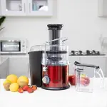 Geepas Centrifugal Juicer - 2.2 L Pulp Container Machine Juice Extractor with 75MM Wide Mouth 2 Speed, Stainless Steel Body, Non-Slip Feet-Multi (1 YR WRNTY)