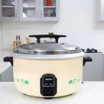 Geepas 10 Liters Electric Rice Cooker -Multi (1 YR WRNTY)