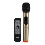 Hi-Fi Speaker with UHF Mic & Remote | GMS11153