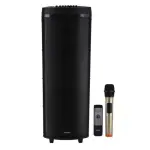 Hi-Fi Speaker with UHF Mic & Remote | GMS11153